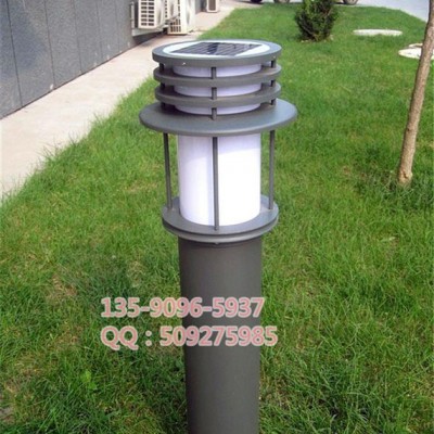 太陽能草坪燈2led 公園裝飾亮化燈 太陽能草坪裝飾燈