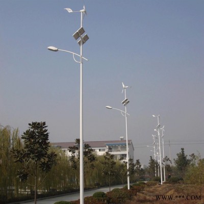 博達成001 太陽能風光互補路燈 40W60W風機太陽能發(fā)電新能源風力節(jié)能LED路燈