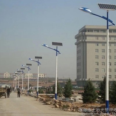 太陽能燈 新農村太陽能路燈 6米30W太陽能路燈 批發6-8米新農村太陽能路燈