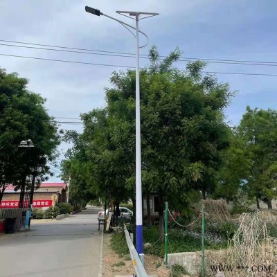 暢園cyzm太陽能路燈 太陽能路燈加工 農村6米太陽能路燈