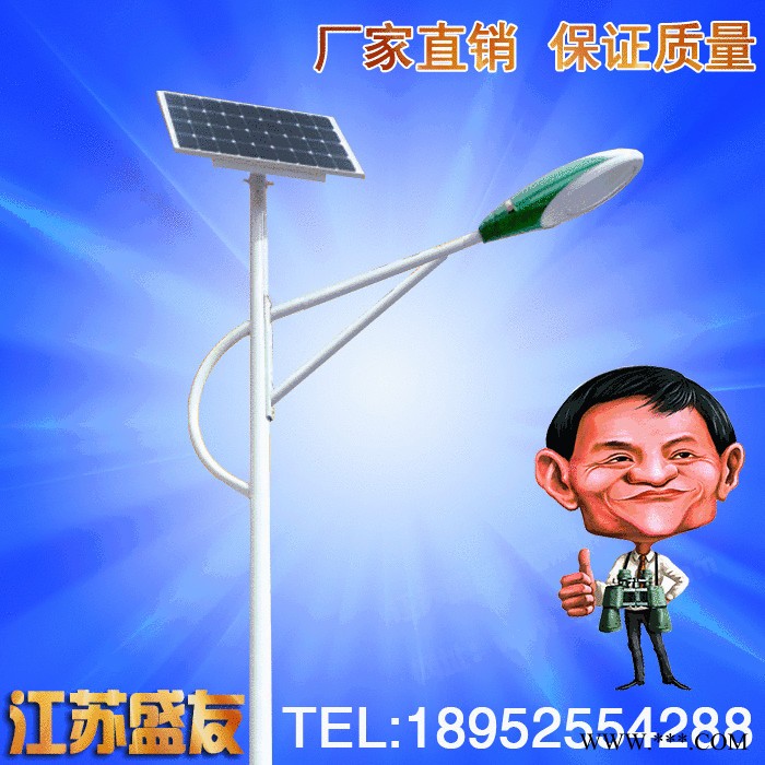 盛友照明 4米5米6米 新農村 led太陽能路燈 戶外高桿道路燈庭院燈