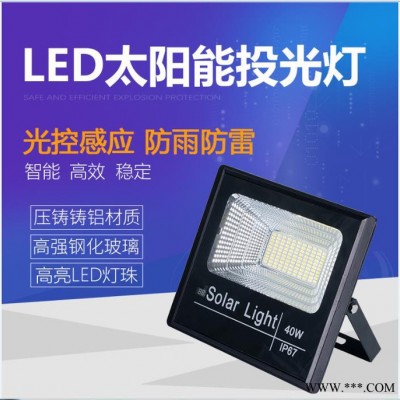 杰煒燈飾北極光投光燈 太陽能投光燈廠家