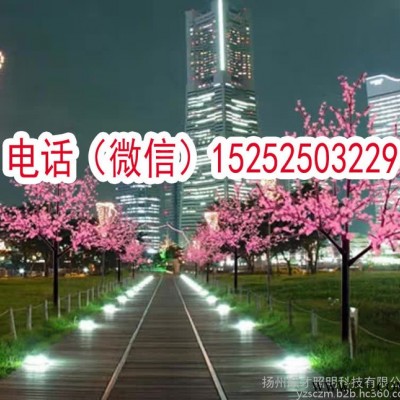 訂做仿古銅色中華燈玉蘭燈樹燈桃花燈異形燈中國結路燈燈籠路燈節日路燈中國心路燈定做異形景觀亮化燈太陽能市電一體化智能型路燈