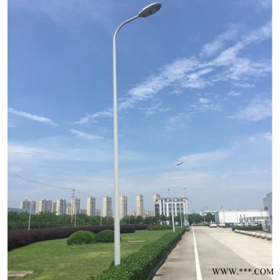 璀璨 美麗鄉(xiāng)村6米路燈  廣東太陽能路燈**