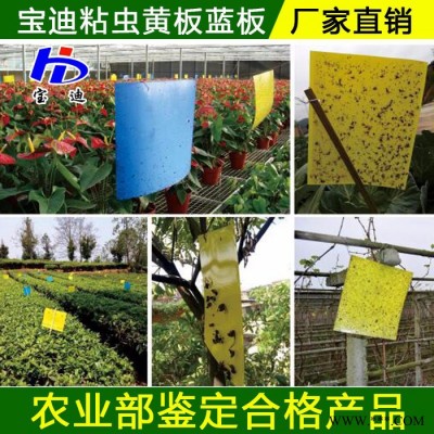 寶迪牌BD-SC01 太陽(yáng)能殺蟲燈廠家，農(nóng)用果園茶園專用頻振式殺蟲燈生產(chǎn)廠家