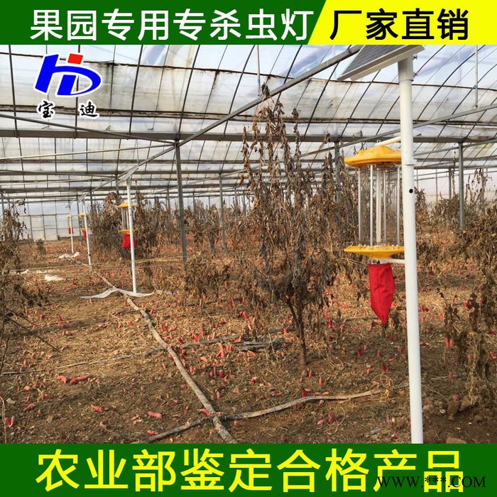 寶迪BD-01 果園殺蟲燈生產廠家 太陽能殺蟲燈廠家批發 頻振式殺蟲燈廠家定制
