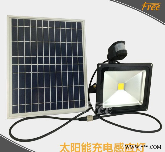 LED太陽能投光燈帶感應太陽能燈太陽能充電投光燈直銷