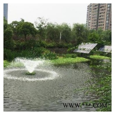 增氧機(jī)定制 光伏噴泉泵RSUN-PQ 花式太陽能噴泉曝氣機(jī)機(jī)
