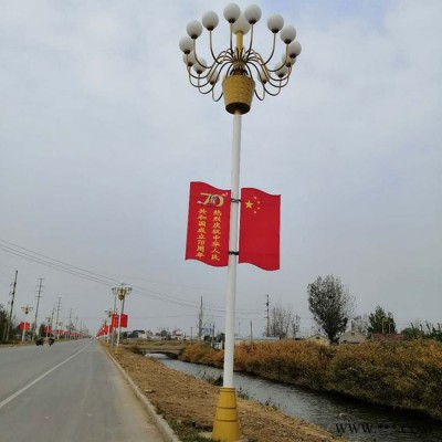 風(fēng)光互補(bǔ)太陽能路燈 .鋰電池路燈 風(fēng)光互補(bǔ)路燈 .太陽能路燈