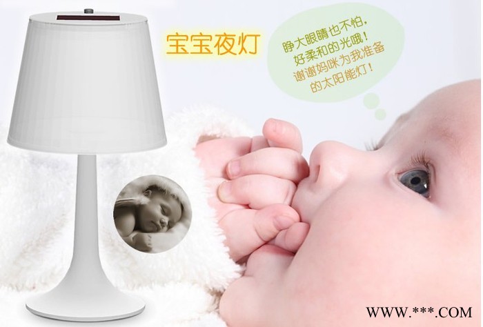 供應(yīng)太陽能庭院燈草坪燈及工藝品