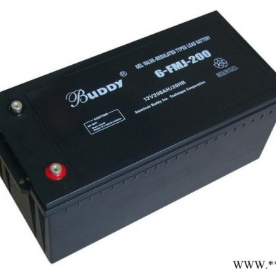 寶迪BUDDY蓄電池6-FM-24/12V24AH 寶迪蓄電池 UPS不間斷電源 太陽能蓄電池 膠體蓄電池