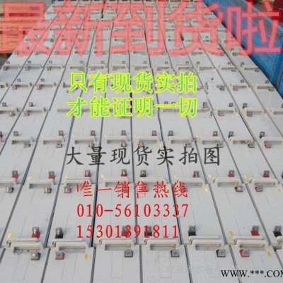 全新原裝湯淺12V100AH蓄電池直流屏太陽能蓄電池免維護U