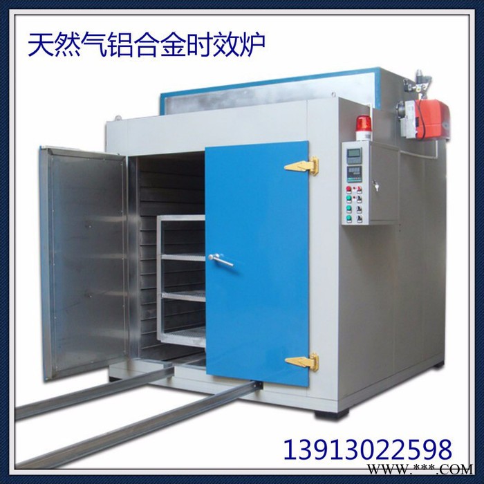 定做大型燃氣烤箱 工業燃氣烘箱 天然氣烘箱 燃氣設備廠家佳