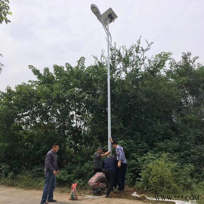 奮鈞TYN-011 太陽(yáng)能路燈6米led鋰電池太陽(yáng)能路燈30w瓦新農(nóng)村鄉(xiāng)村小路道路燈戶(hù)外5米7米量大從優(yōu)