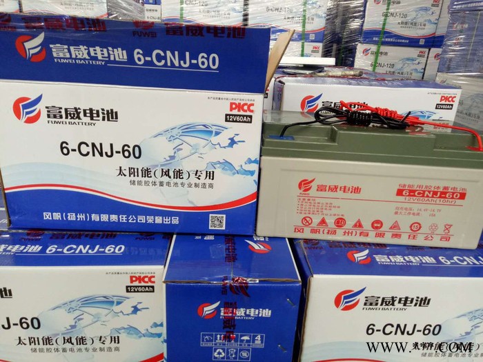 風(fēng)帆太陽(yáng)能蓄電池6-CNJ-60 膠體蓄電池