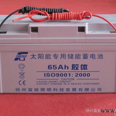 供應(yīng)揚(yáng)州富能12V-65AH太陽能蓄電池 品質(zhì)保證