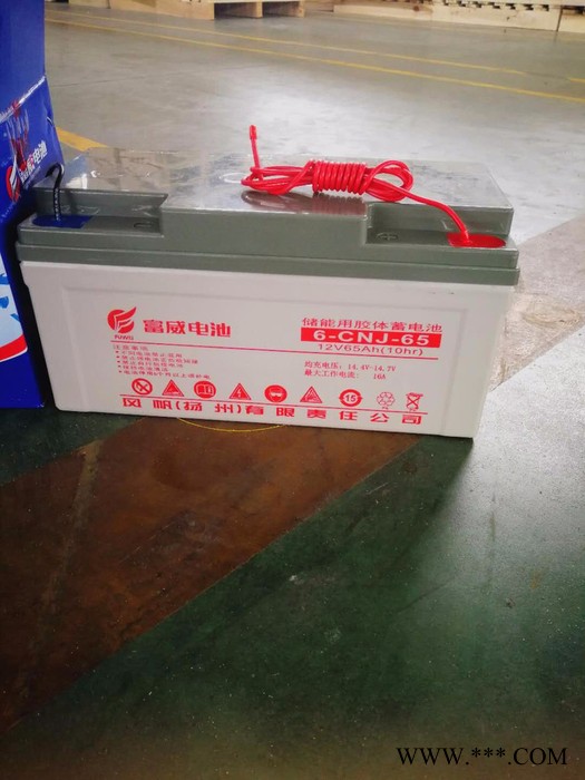 風(fēng)帆蓄電池6-CNJ-65 膠體儲(chǔ)能蓄電池