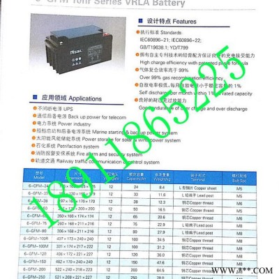 風(fēng)帆工業(yè)電瓶 ，6-GFM-100 10小時(shí)率系列閥控密封蓄電池，設(shè)備專用電源，太陽能電瓶
