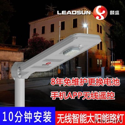 LEADSUN/麟盛 一體化太陽能路燈 街道小區(qū)道路照明太陽能一體燈 鋰電池LED智能感應(yīng)燈