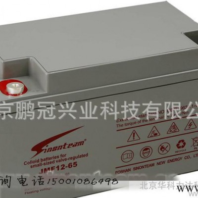 德國賽能Sinonteam蓄電池JMF12-17免維護(hù)12V