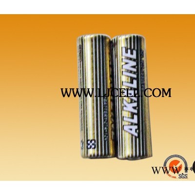 供應(yīng)羅珈CP-P2廠家供應(yīng)鋰錳電池柱CP-P2