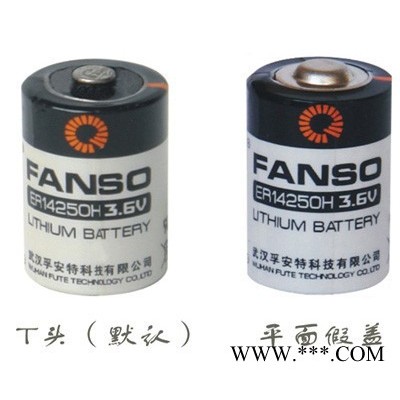 供應(yīng)孚安特ER14250H能量型鋰亞電池 電表 ETC 等專(zhuān)用鋰電池