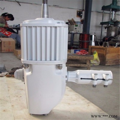 晟成FD-5KW 風(fēng)力發(fā)電機(jī) 小型家用風(fēng)力發(fā)電機(jī) 長(zhǎng)期免費(fèi)提供技術(shù)咨詢(xún)