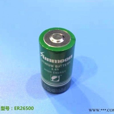 供應(yīng)ER26500 ER26500M 3.6V鋰亞電池