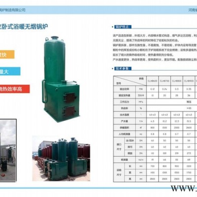 河南省恒信鍋爐供應 生物質鍋爐CWHB-0.7-0.7