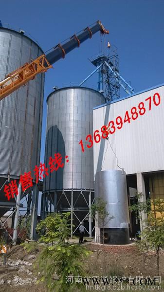 **河南浴池鍋爐，4噸生物質鍋爐，80萬大卡導熱油爐