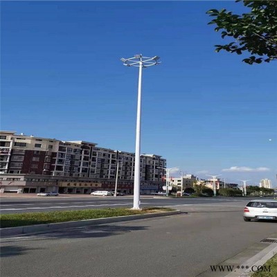 太陽(yáng)能路燈廠(chǎng)家 景觀(guān)燈 農(nóng)景觀(guān)燈廠(chǎng)家 鋰電池6米太陽(yáng)能路燈 太陽(yáng)能路燈