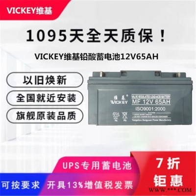 維基蓄電池MF12V33AH 12V33AH光伏發電 電廠消防設備 機房配電室 UPS電源電池 EPS直流屏蓄電池