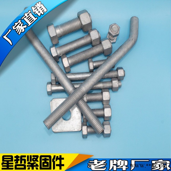 河北星哲 ** 熱鍍鋅螺栓 高強度螺栓 高強度螺絲 熱浸鋅螺栓 國標螺絲光伏配件 異型螺栓 支持定做 六角螺栓 發黑