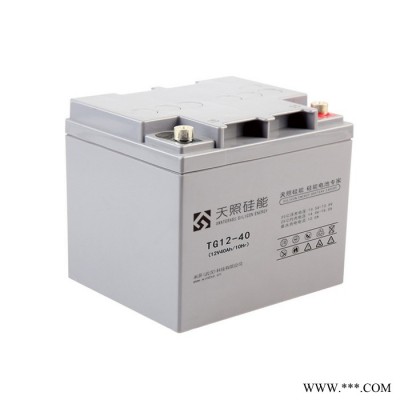 天照硅能蓄電池TG12-100醫(yī)療電信電力太陽(yáng)能光伏UPS儲(chǔ)能直流屏專用電池 總經(jīng)銷商12V100AH