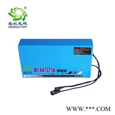 **鋰電池電動自行車后衣架裸包鋰電池組48V8AH