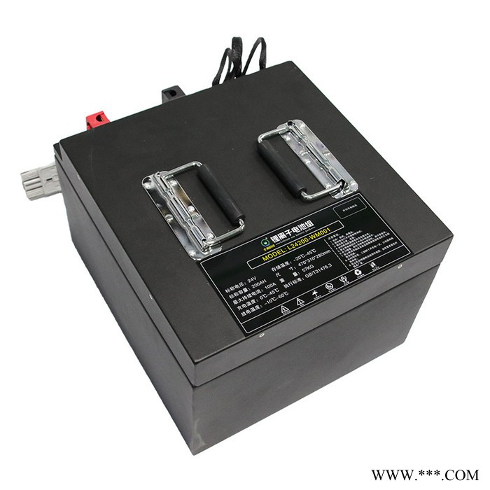 全?？萍捡{駛式洗地機電池24V200Ah 洗地機鋰電池組L24200-WM001配充電器 29.2V30A
