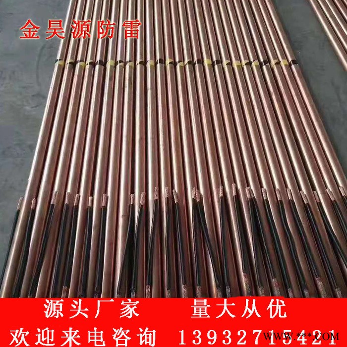 光伏基礎(chǔ)用ECR-300垂直緩釋防腐型電解離子接地極銅包鋼接地棒工廠直接發(fā)貨