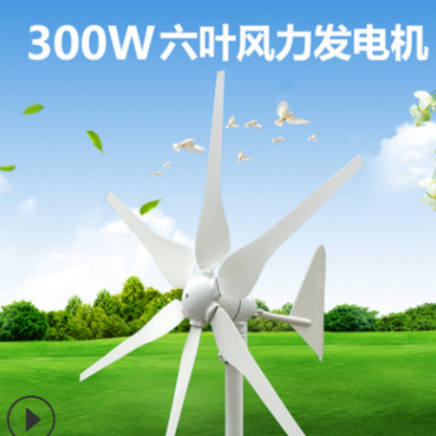 家用300W小型風力發(fā)電機12V6葉片微風啟動永磁外轉(zhuǎn)子電機一件代發(fā)