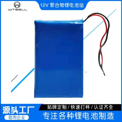 工廠批發(fā)12V聚合物鋰電池各種容量燈帶音響監(jiān)控氣燈空氣凈化器