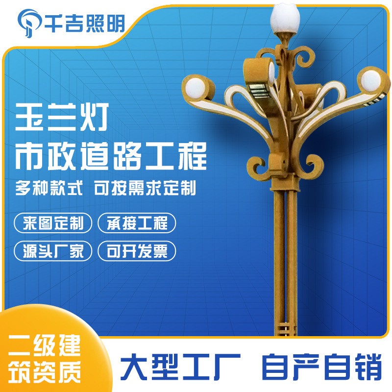 源頭廠家廣場景觀燈8/12米景區(qū)led戶外燈工程道路市政道路玉蘭燈