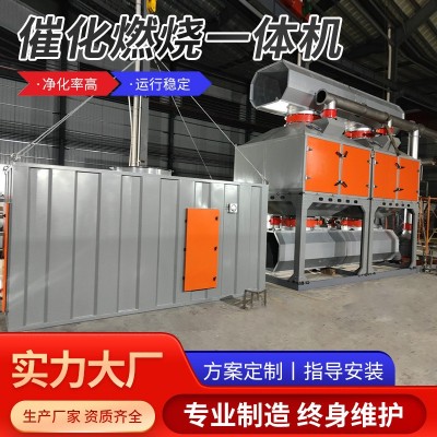 專業(yè)工廠供應(yīng)催化燃燒設(shè)備有機(jī)廢氣處理催化燃燒一體機(jī)定制
