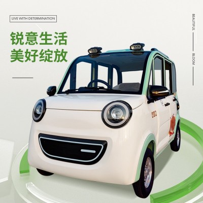小型女士轎車全封閉家用電動(dòng)四輪車?yán)夏甏杰囉碗妰捎美项^樂