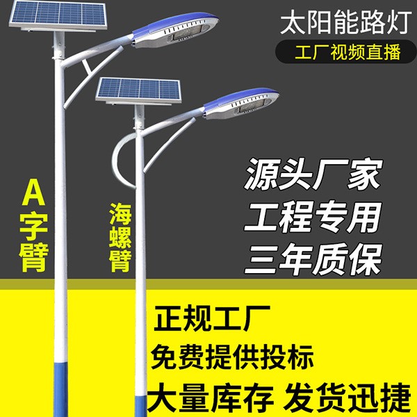 6米30W一體化道路燈新農(nóng)村led庭院燈太陽(yáng)能路燈戶外挑臂路燈廠家