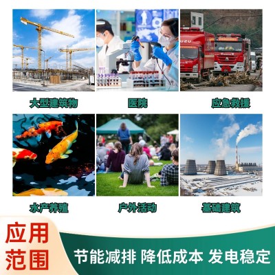 小功率家用應(yīng)急電源康明斯低噪音50KW發(fā)電機(jī)組住宅別墅 備用發(fā)電機(jī)