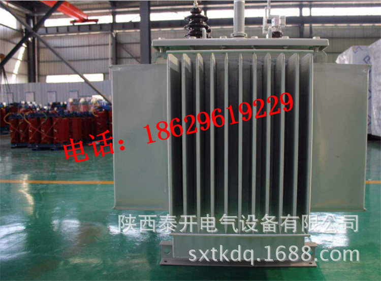 現(xiàn)場油浸式