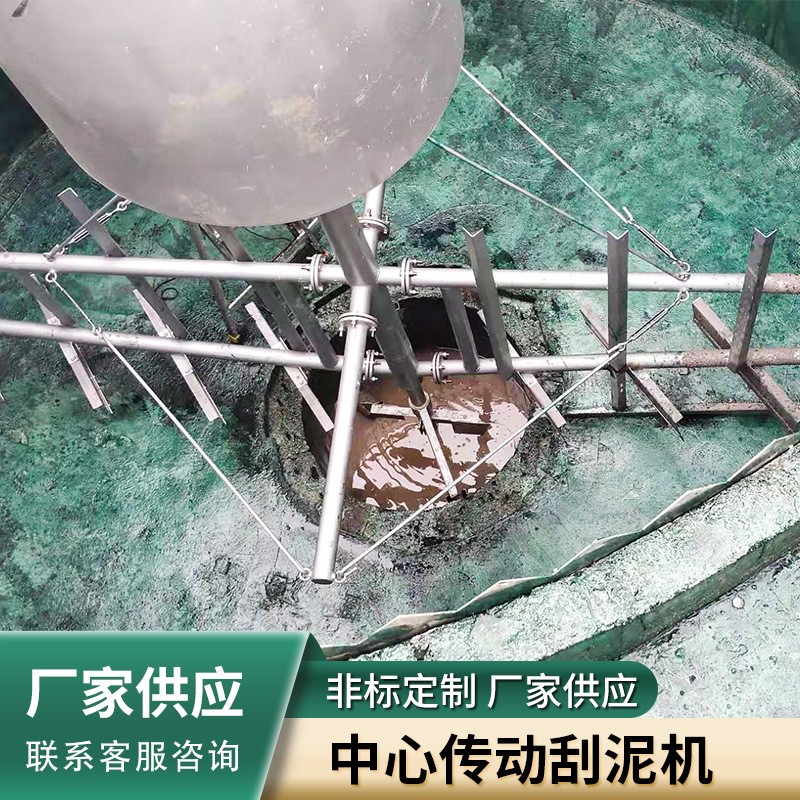 中心傳動(dòng)刮泥機(jī)大型一體化污水處理設(shè)備不銹鋼中心傳動(dòng)刮吸泥設(shè)備